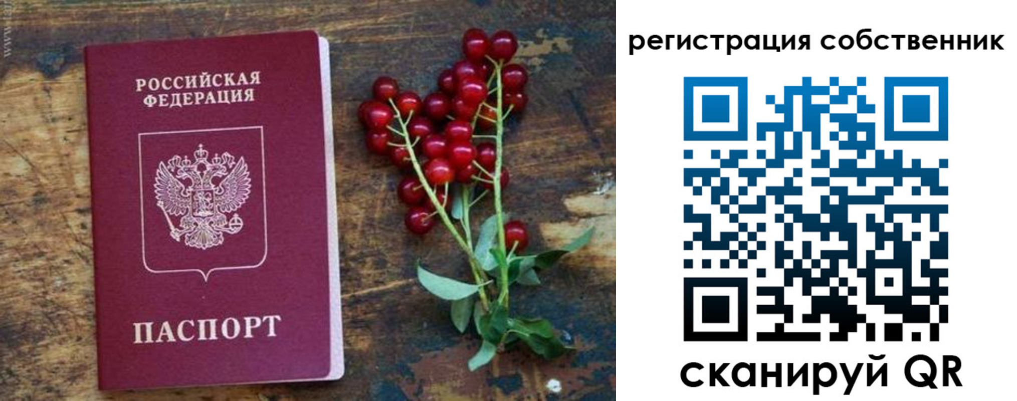 регистрация для дет. сада в Чапаевске